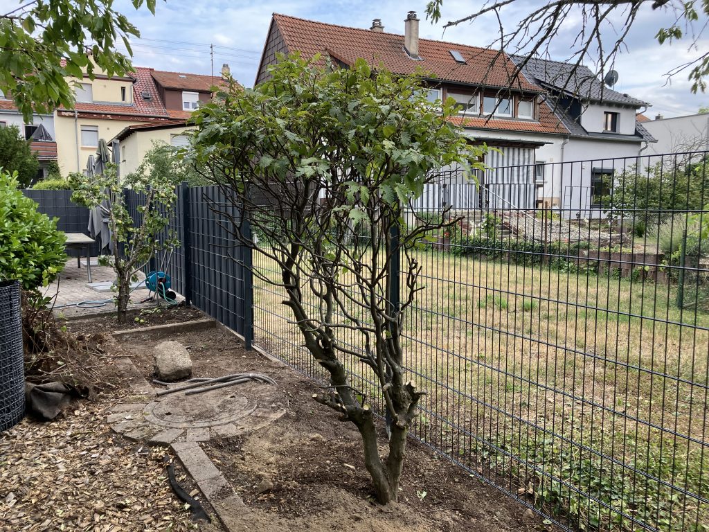 Montage eines Doppelstabmattenzauns in Karlsruhe – Setzen und Ausrichten der Zaunpfosten